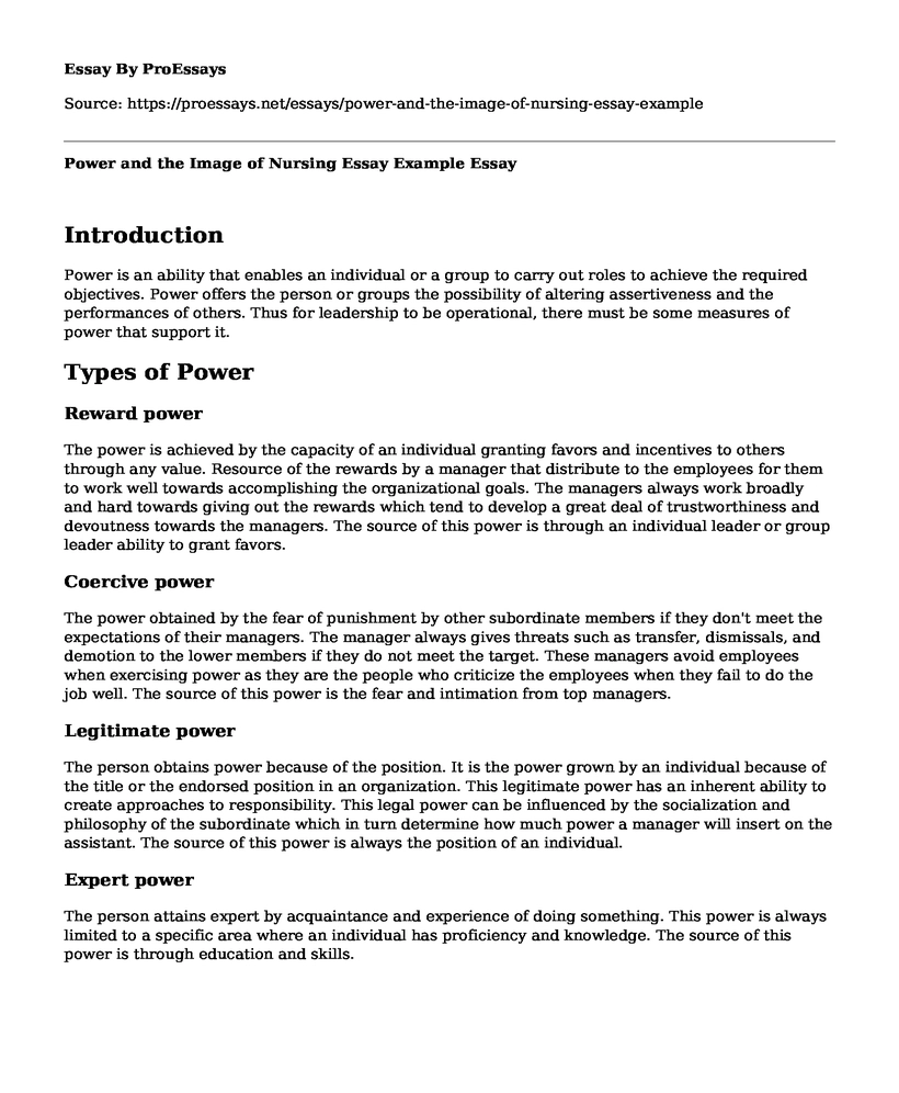 Power and the Image of Nursing Essay Example
