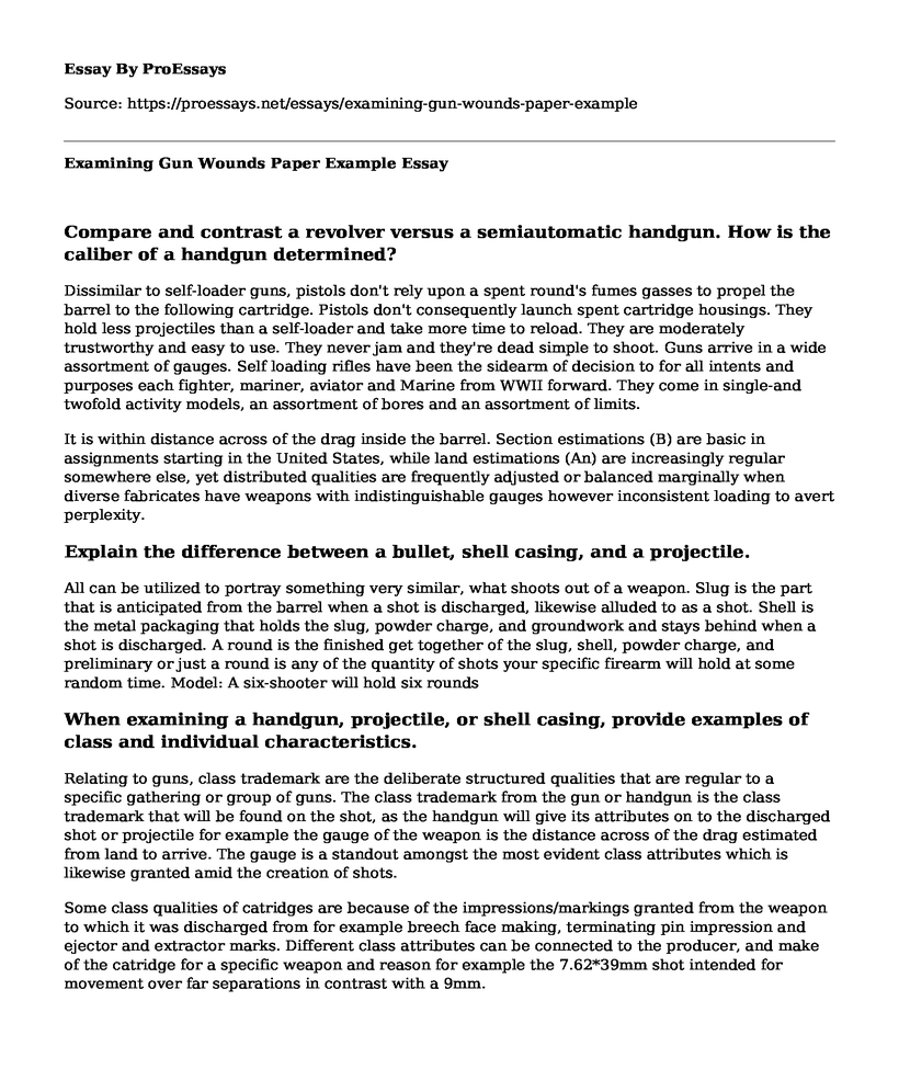 Examining Gun Wounds Paper Example