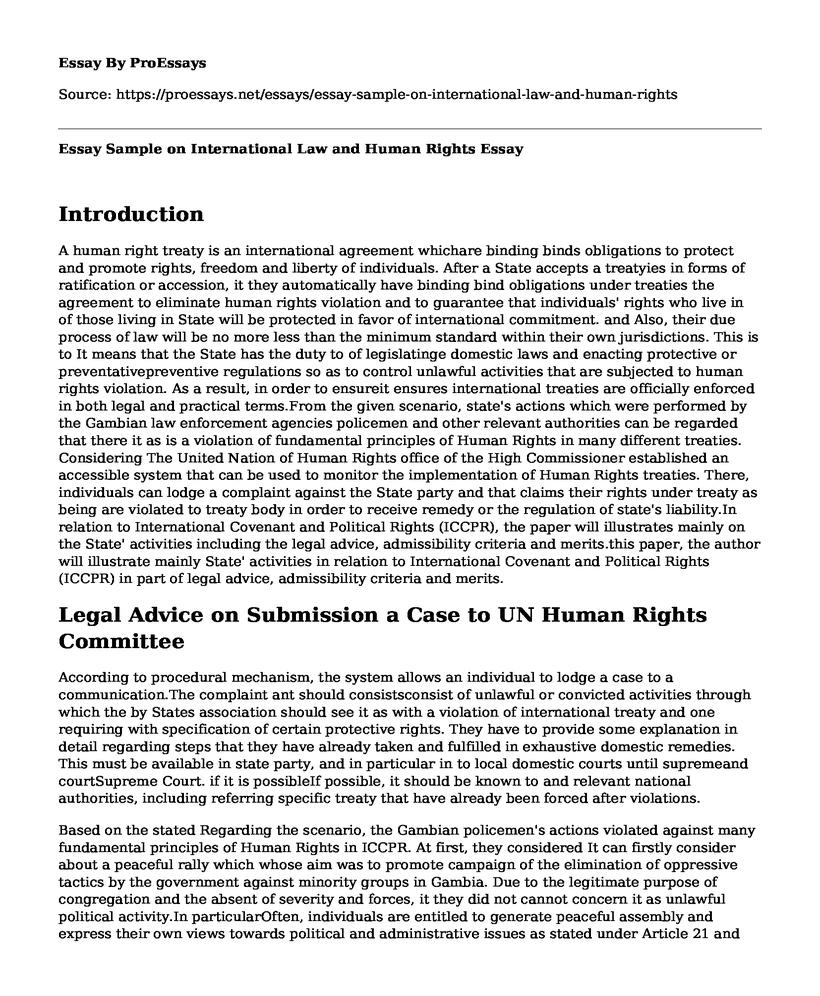 Essay Sample on International Law and Human Rights