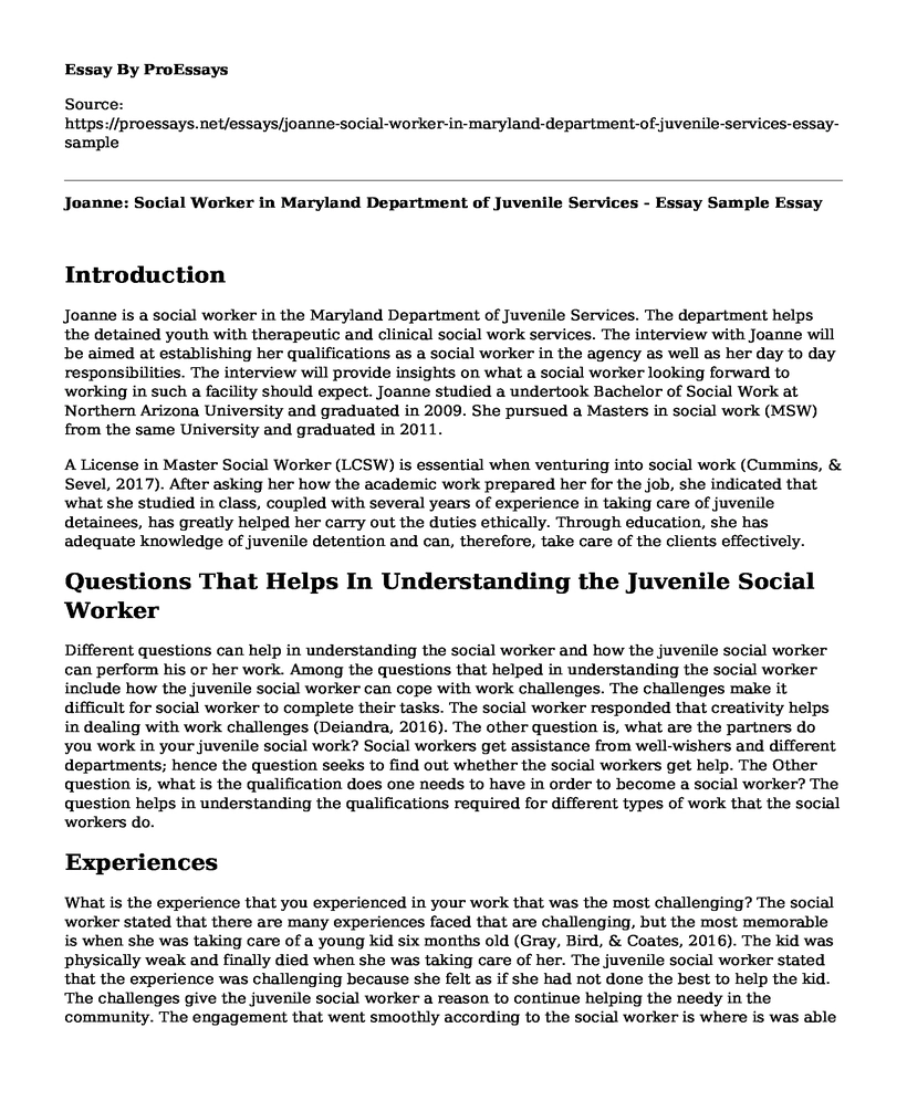 Joanne: Social Worker in Maryland Department of Juvenile Services - Essay Sample