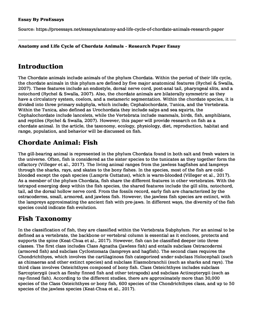 Anatomy and Life Cycle of Chordate Animals - Research Paper