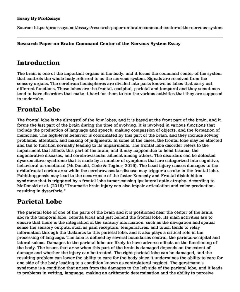 Research Paper on Brain: Command Center of the Nervous System