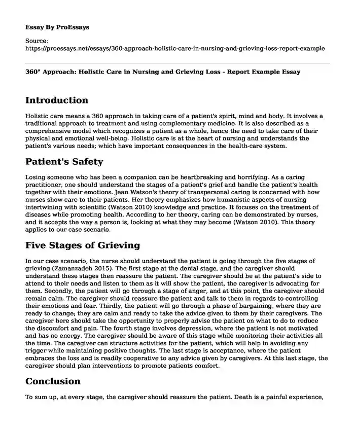360 Approach: Holistic Care in Nursing and Grieving Loss - Report Example