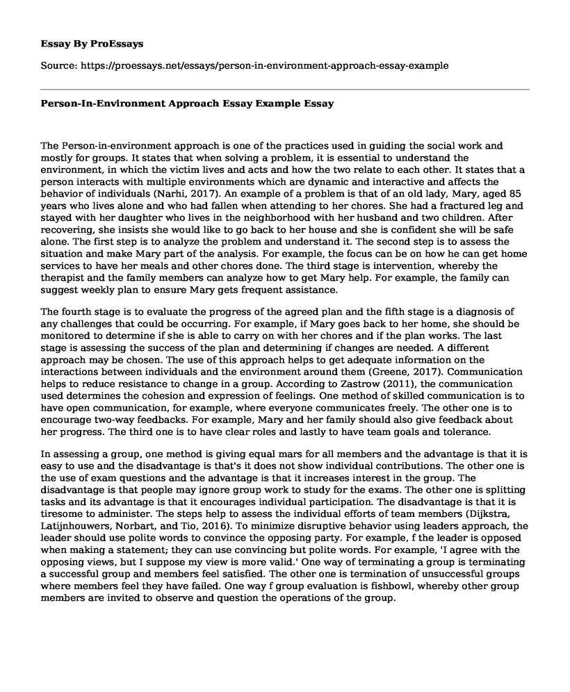 Person-In-Environment Approach Essay Example