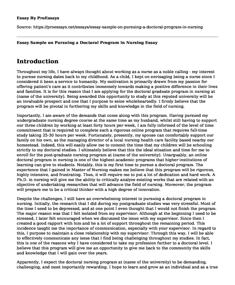 Essay Sample on Pursuing a Doctoral Program in Nursing