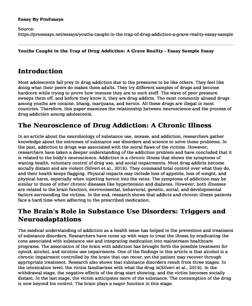 Youths Caught in the Trap of Drug Addiction: A Grave Reality - Essay Sample