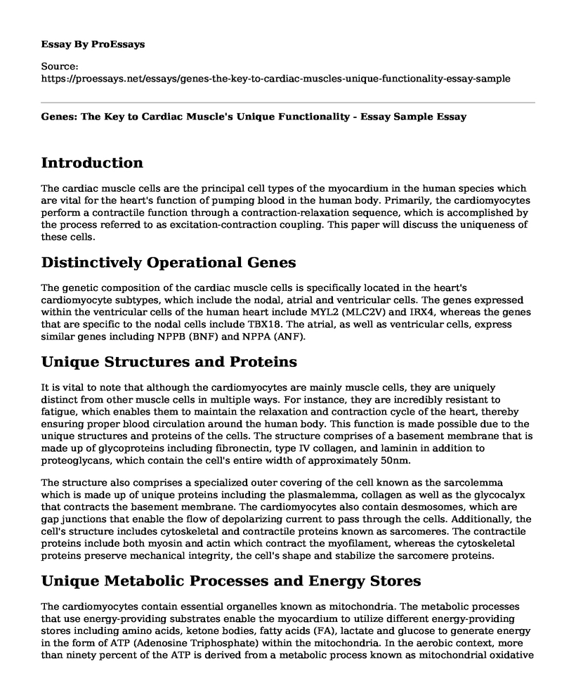 Genes: The Key to Cardiac Muscle's Unique Functionality - Essay Sample