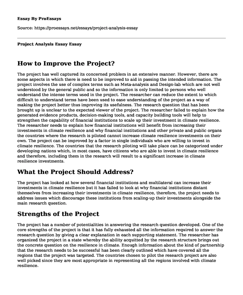 Project Analysis Essay