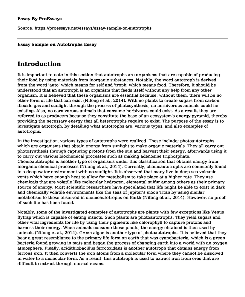 Essay Sample on Autotrophs