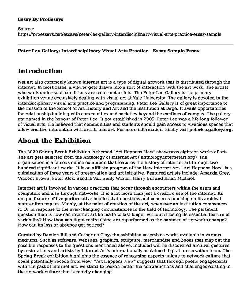 Peter Lee Gallery: Interdisciplinary Visual Arts Practice - Essay Sample