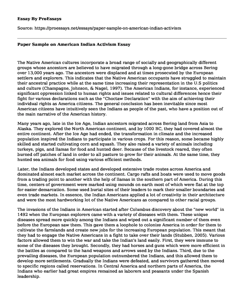 Paper Sample on American Indian Activism