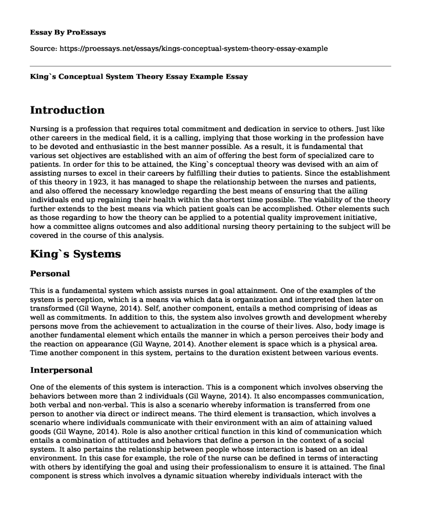 King`s Conceptual System Theory Essay Example