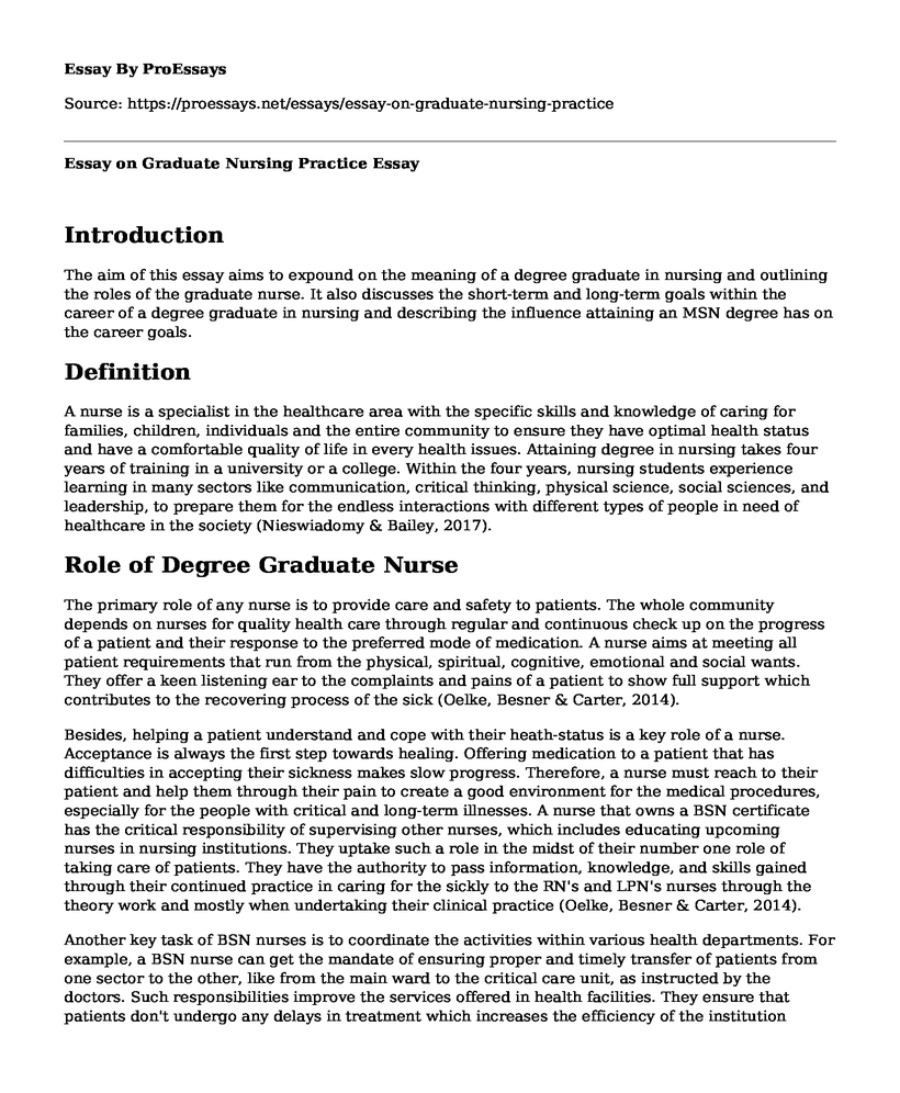 Essay on Graduate Nursing Practice