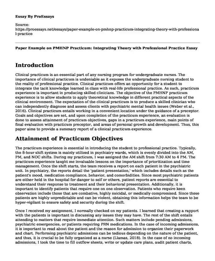 Paper Example on PMHNP Practicum: Integrating Theory with Professional Practice