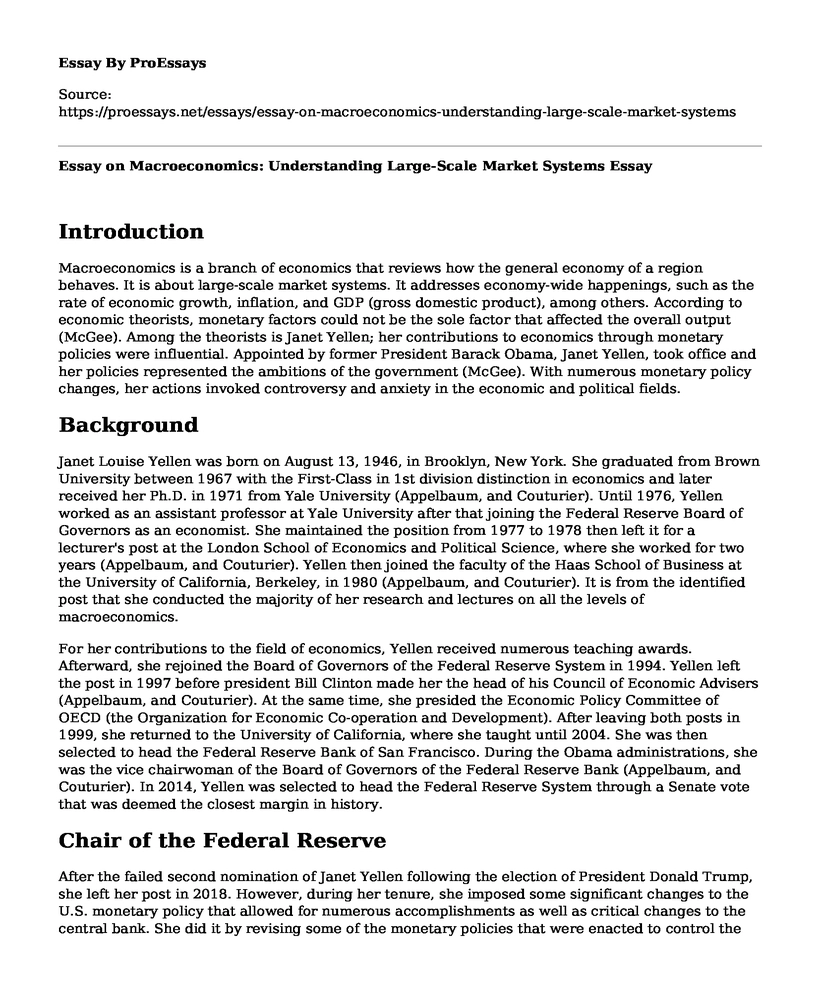 Essay on Macroeconomics: Understanding Large-Scale Market Systems