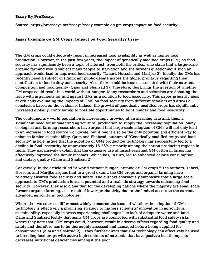 Essay Example on GM Crops: Impact on Food Security?