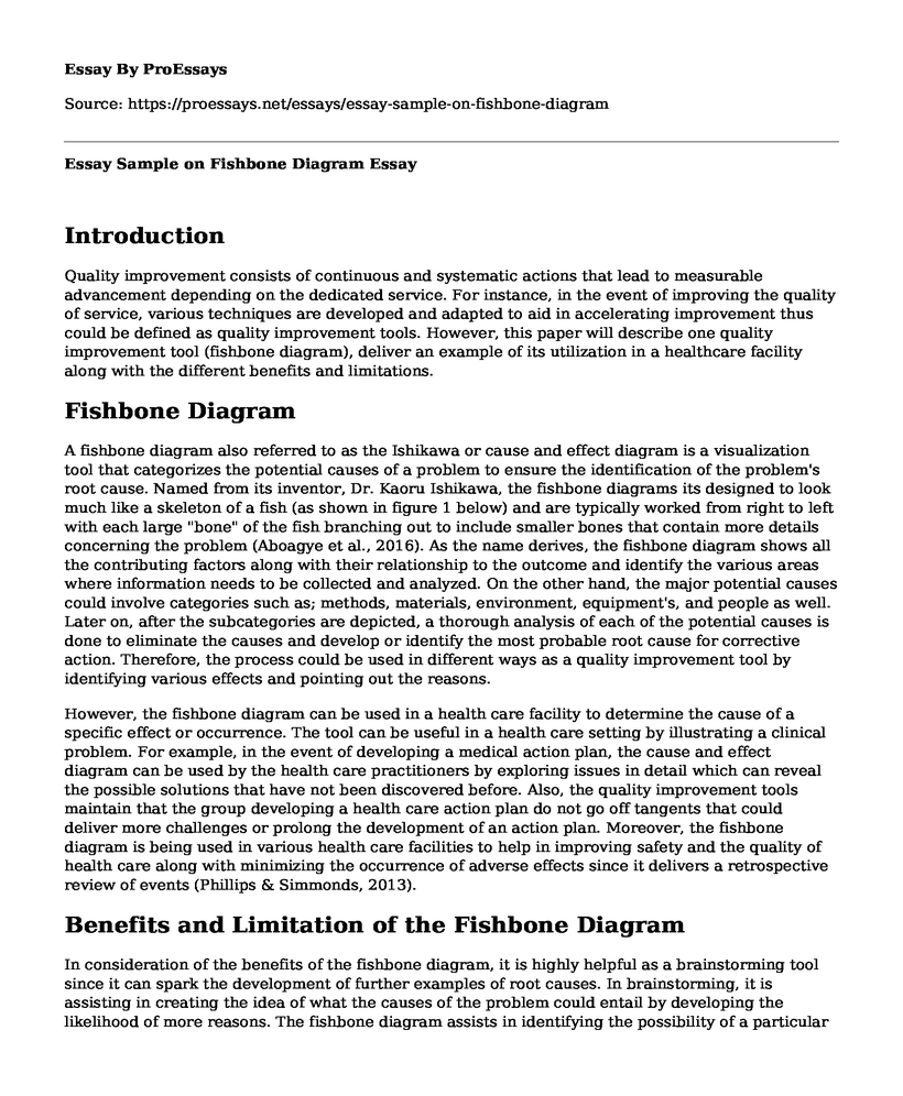 Essay Sample on Fishbone Diagram