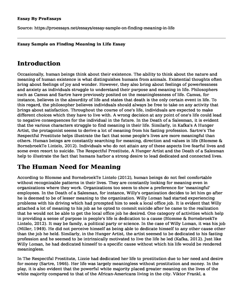 Essay Sample on Finding Meaning in Life