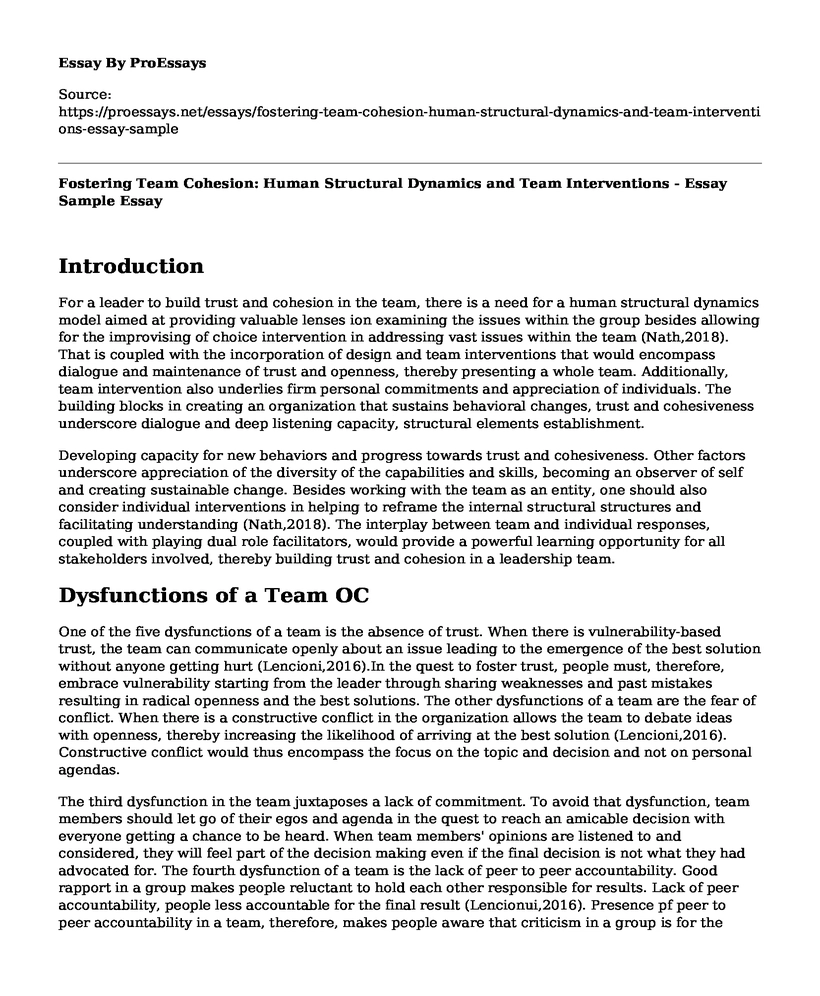 Fostering Team Cohesion: Human Structural Dynamics and Team Interventions - Essay Sample