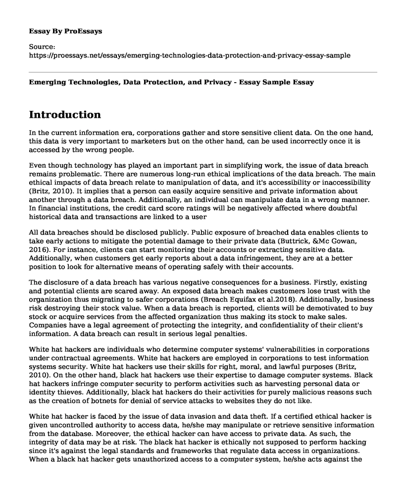 Emerging Technologies, Data Protection, and Privacy - Essay Sample 