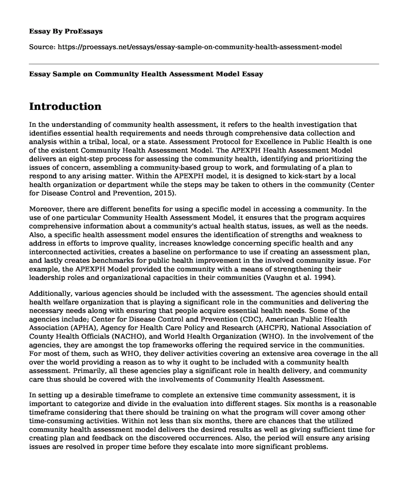 Essay Sample on Community Health Assessment Model