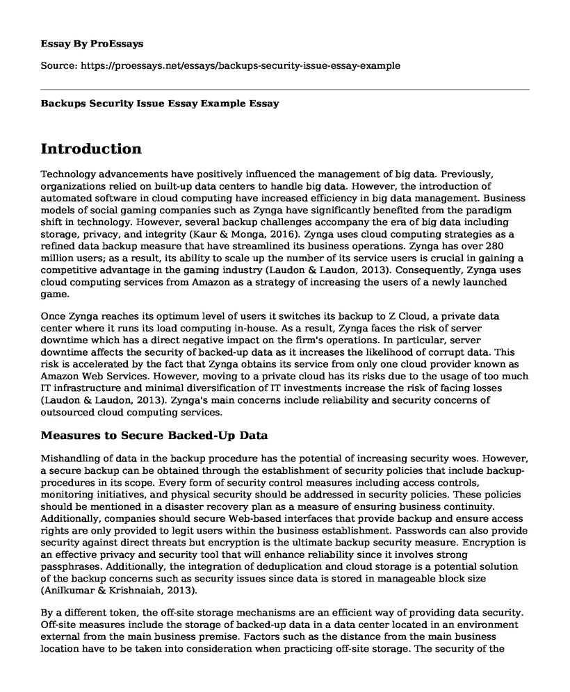 Backups Security Issue Essay Example