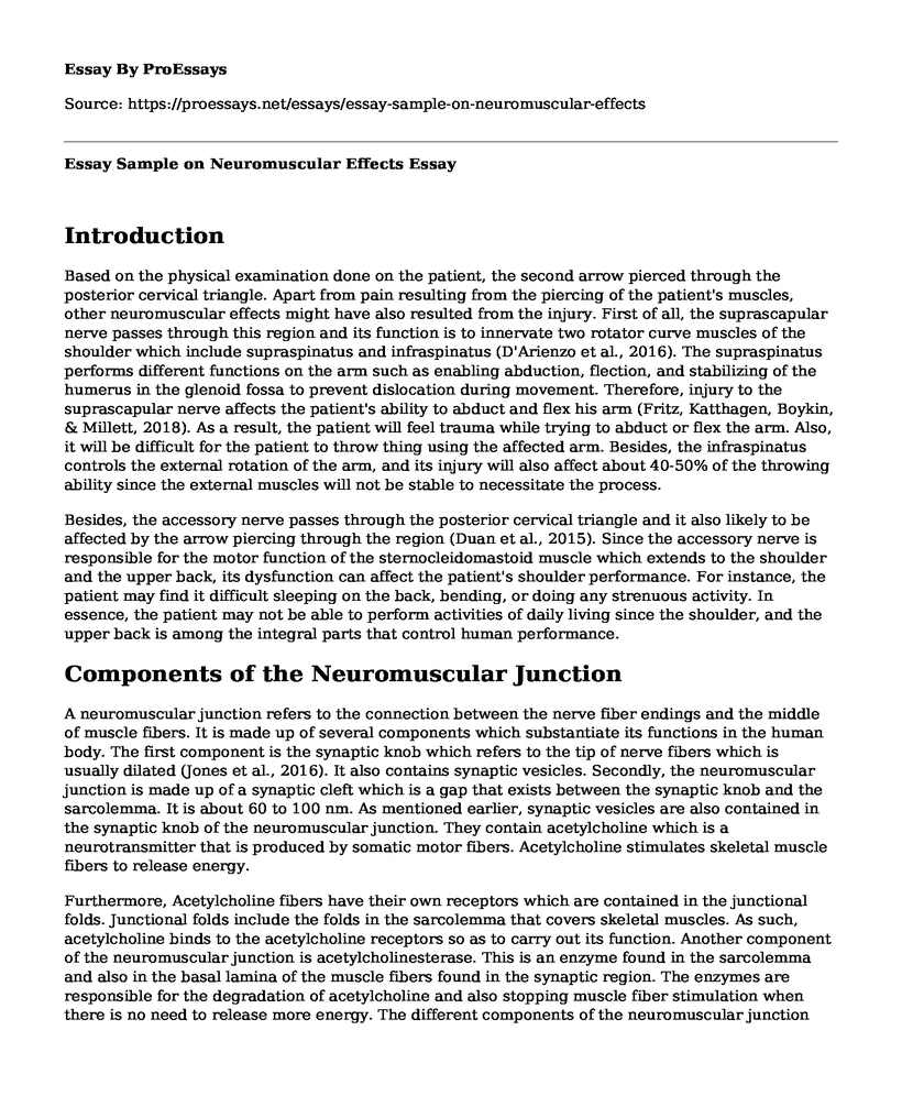 Essay Sample on Neuromuscular Effects