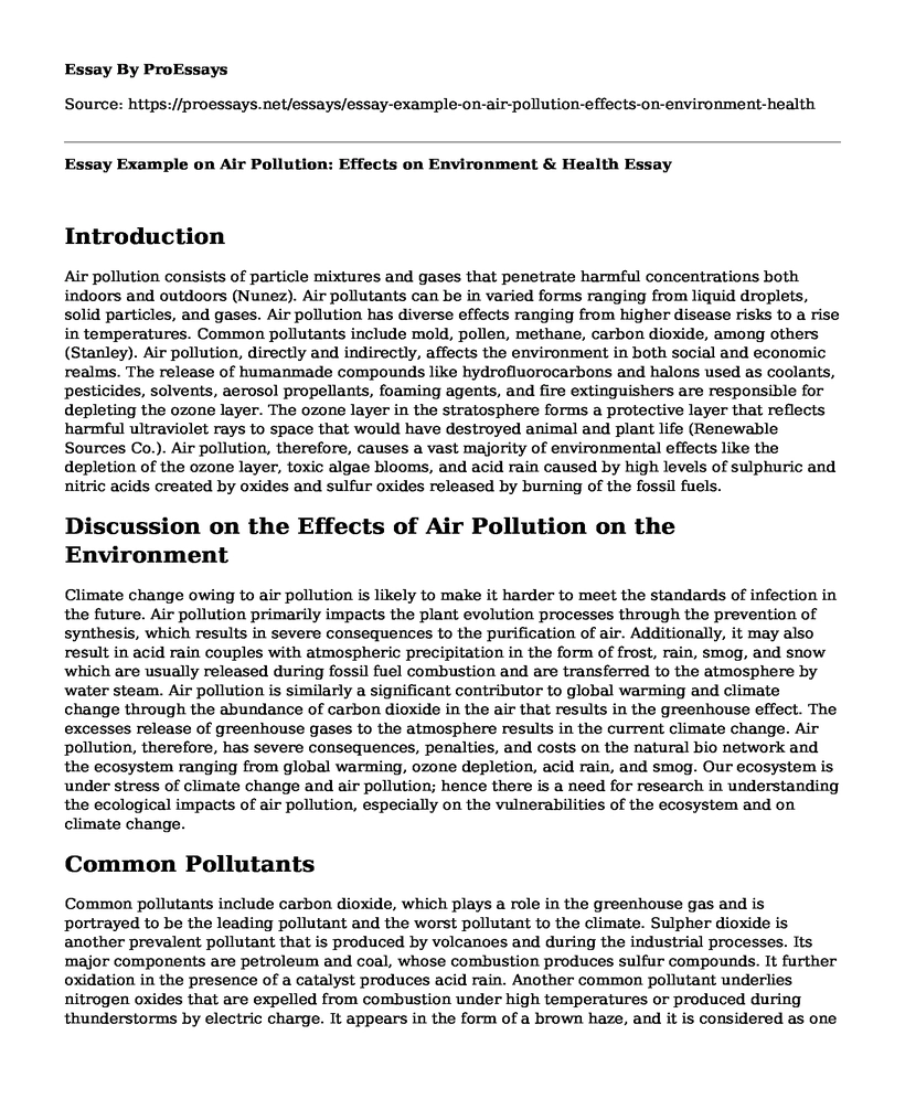 Essay Example on Air Pollution: Effects on Environment & Health