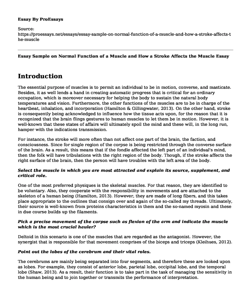 Essay Sample on Normal Function of a Muscle and How a Stroke Affects the Muscle