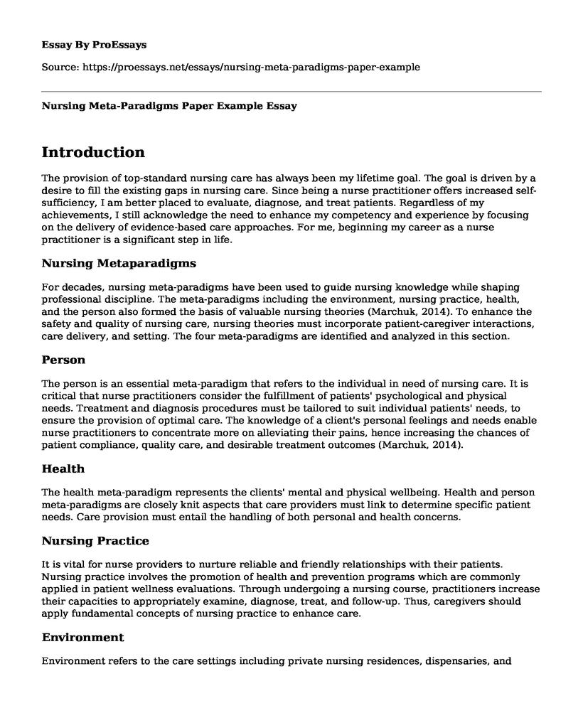 Nursing Meta-Paradigms Paper Example