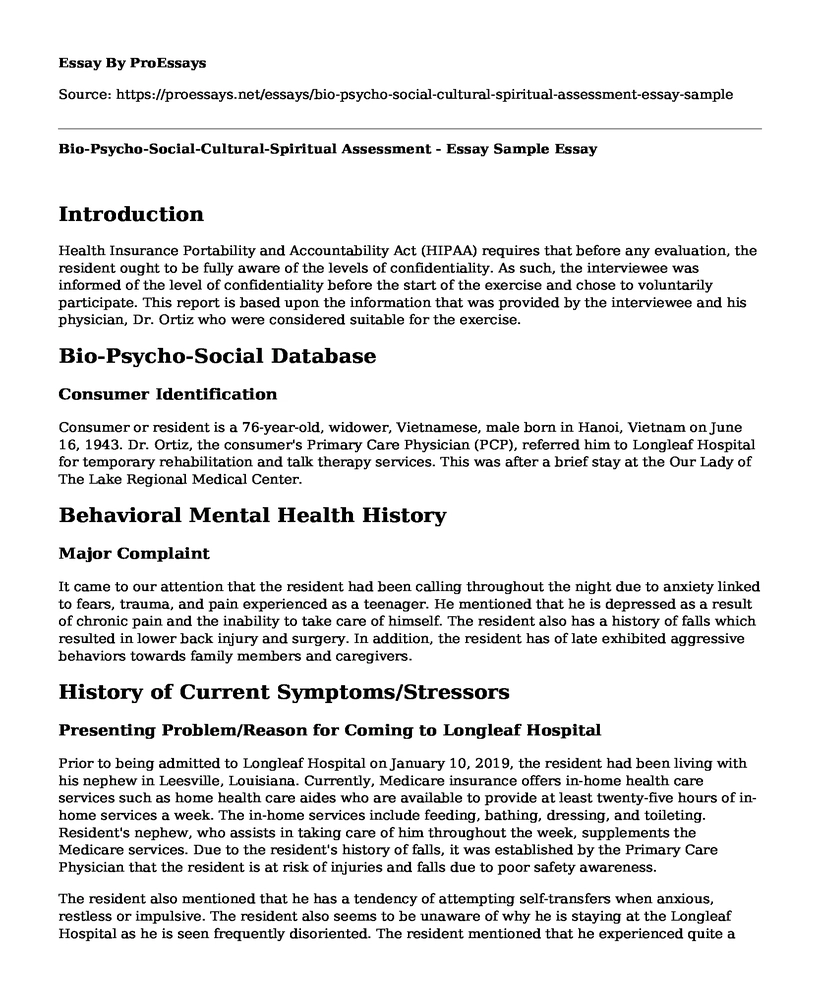 Bio-Psycho-Social-Cultural-Spiritual Assessment - Essay Sample
