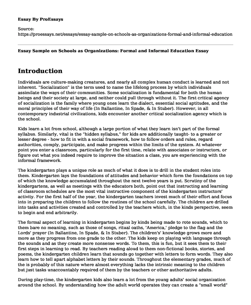 Essay Sample on Schools as Organizations: Formal and Informal Education