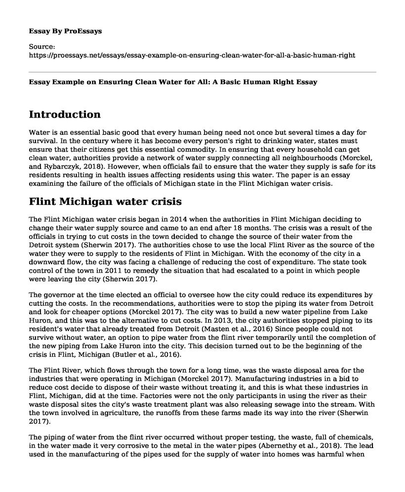 Essay Example on Ensuring Clean Water for All: A Basic Human Right