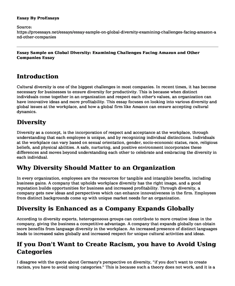 Essay Sample on Global Diversity: Examining Challenges Facing Amazon and Other Companies