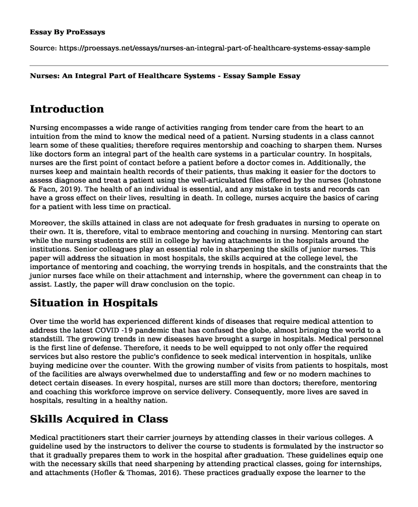 Nurses: An Integral Part of Healthcare Systems - Essay Sample
