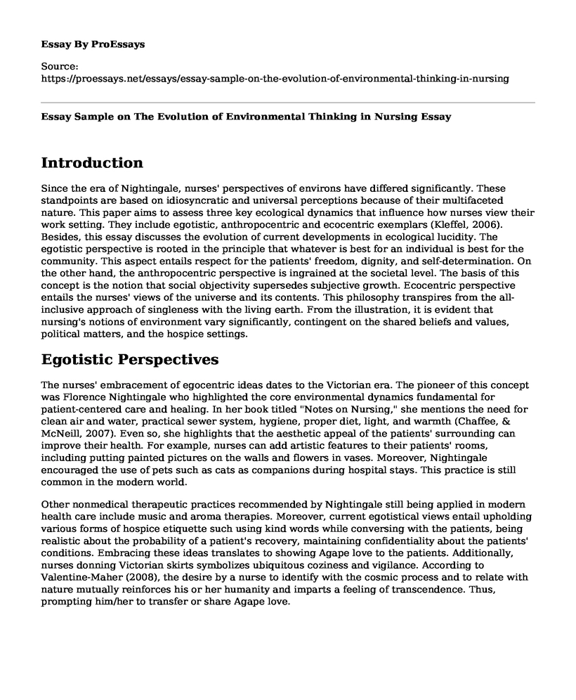 Essay Sample on The Evolution of Environmental Thinking in Nursing