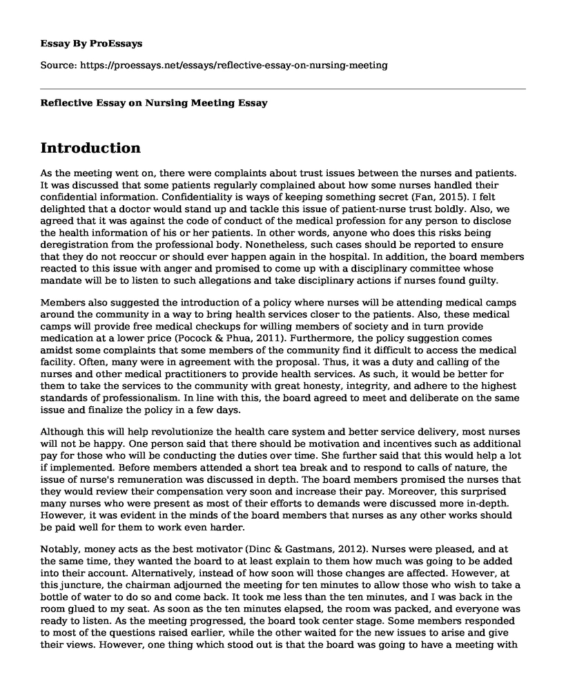 Reflective Essay on Nursing Meeting