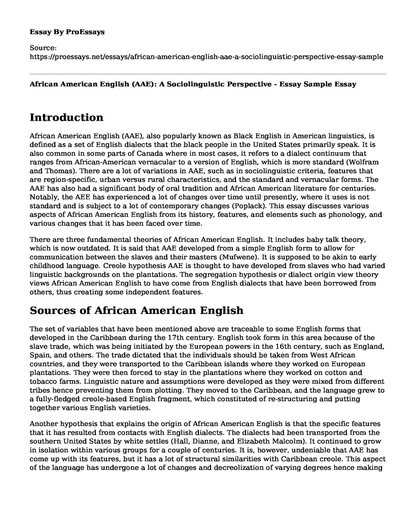 African American English (AAE): A Sociolinguistic Perspective - Essay Sample