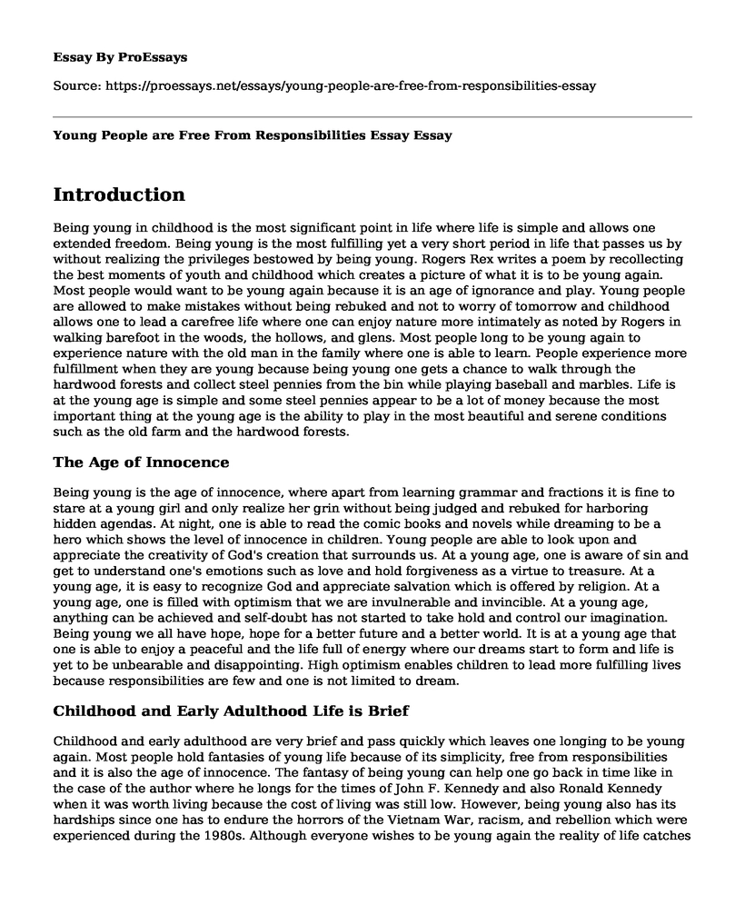 Young People are Free From Responsibilities Essay