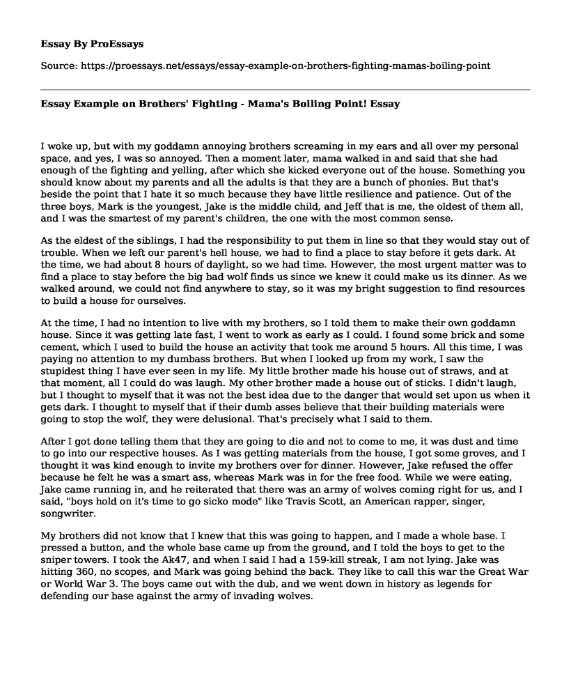 Essay Example on Brothers' Fighting - Mama's Boiling Point!