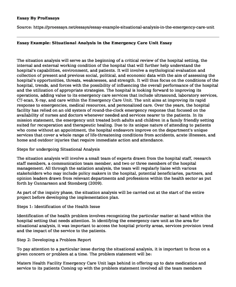 Essay Example: Situational Analysis in the Emergency Care Unit