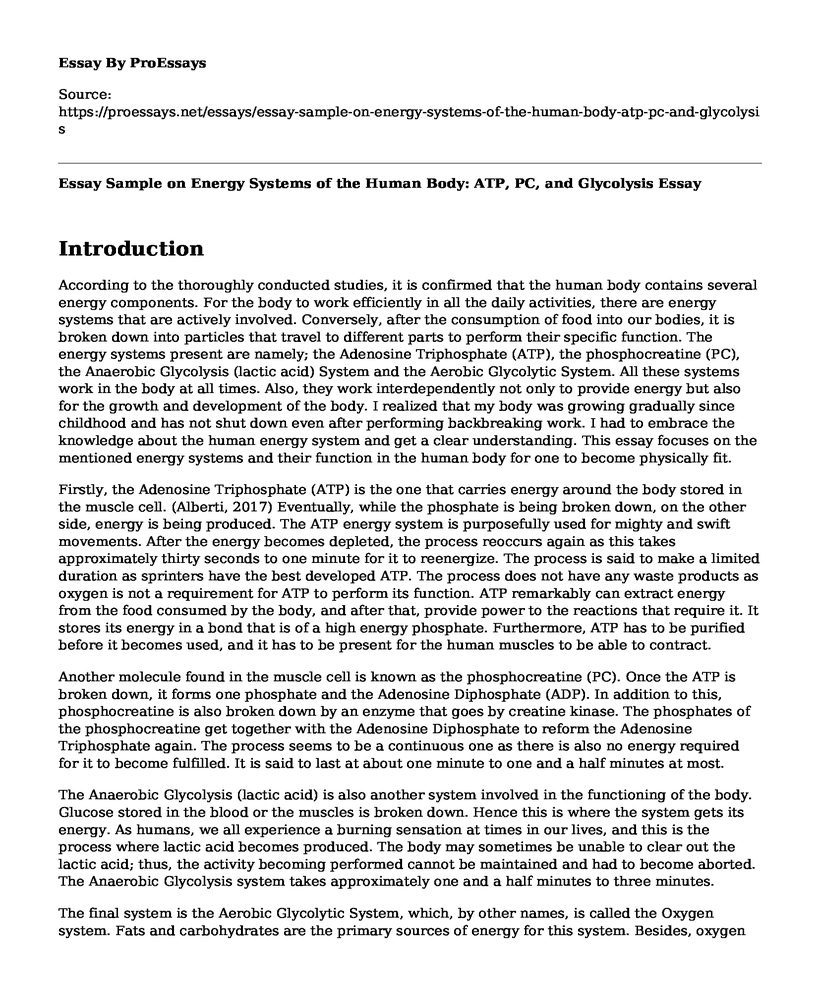 Essay Sample on Energy Systems of the Human Body: ATP, PC, and Glycolysis