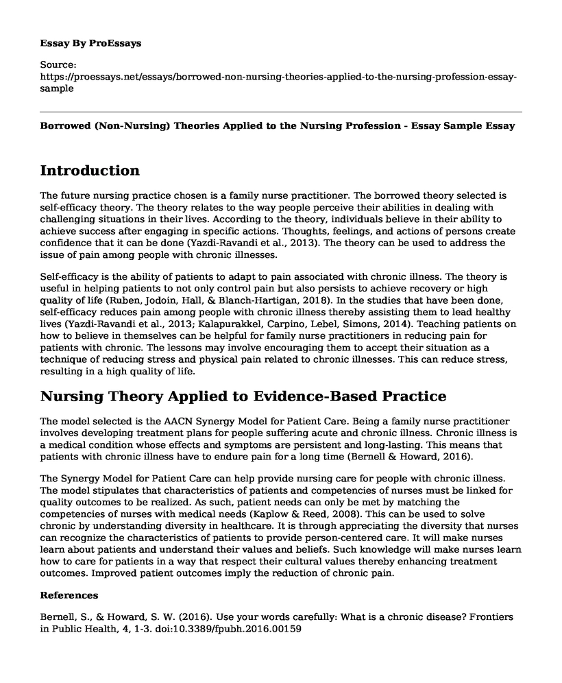 Borrowed (Non-Nursing) Theories Applied to the Nursing Profession - Essay Sample