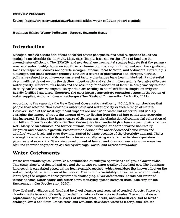 Business Ethics Water Pollution - Report Example