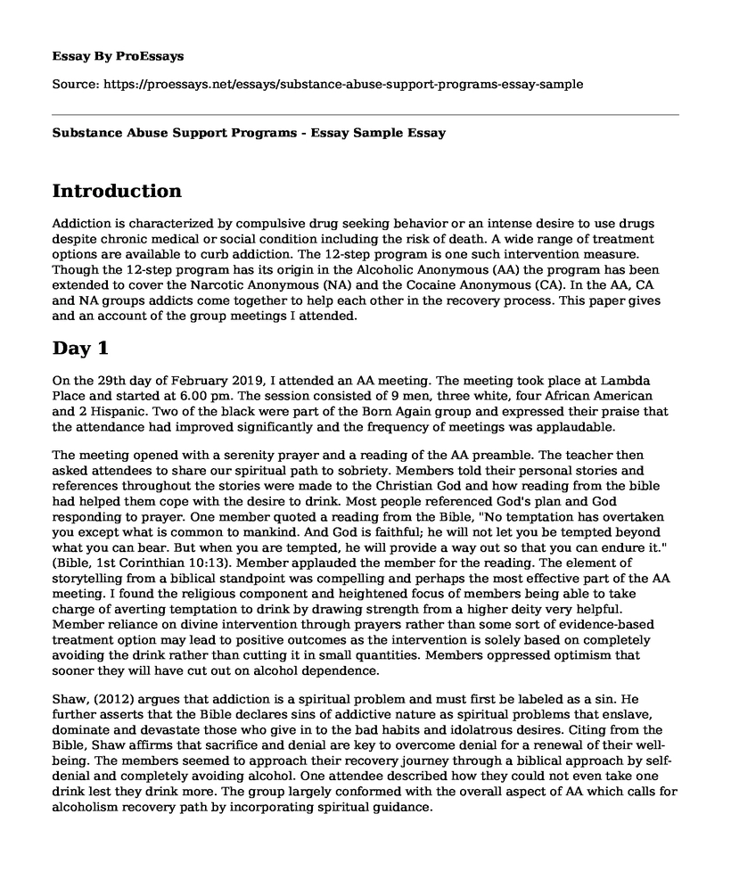 Substance Abuse Support Programs - Essay Sample