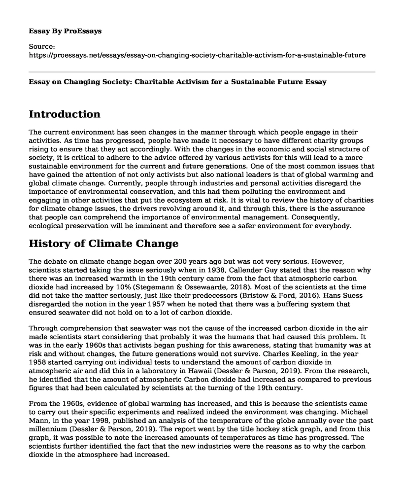 Essay on Changing Society: Charitable Activism for a Sustainable Future