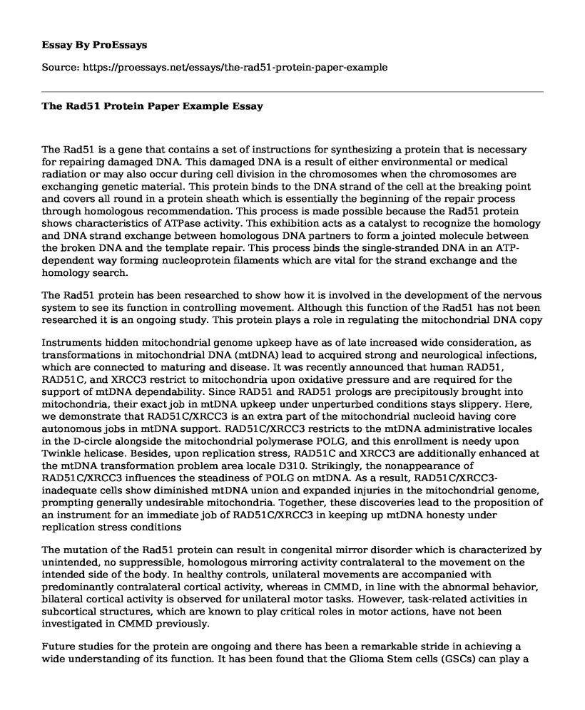 The Rad51 Protein Paper Example