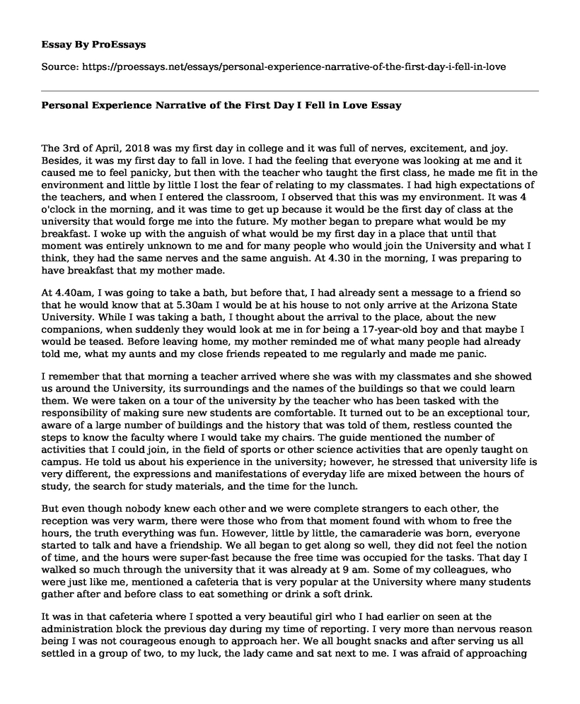 narrative essay about love experience