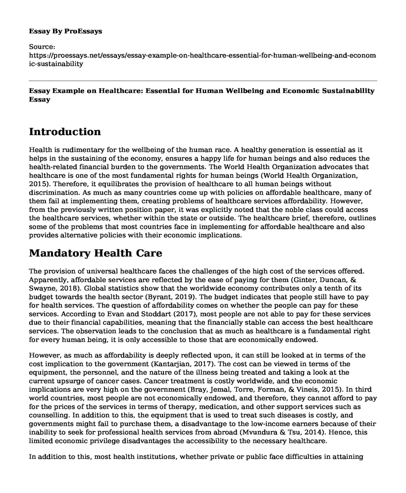 Essay Example on Healthcare: Essential for Human Wellbeing and Economic Sustainability