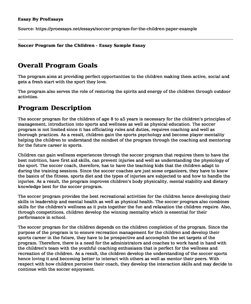 Soccer Program for the Children - Essay Sample